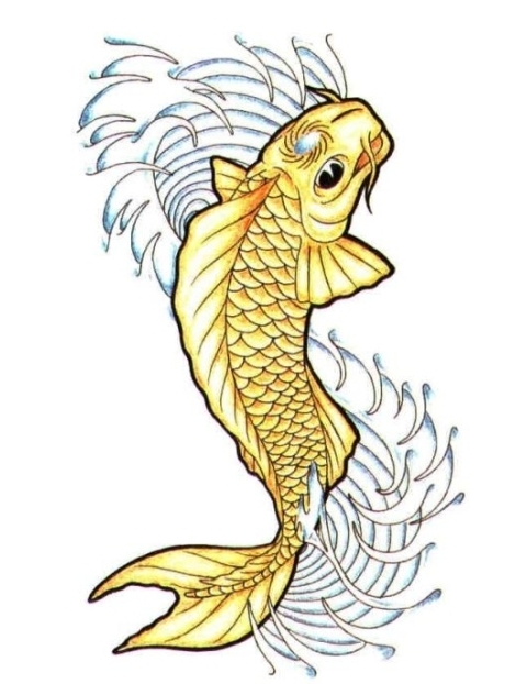 480x622 Water Wave Drawing