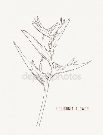 342x450 Water Splashing Stock Photo Taden1