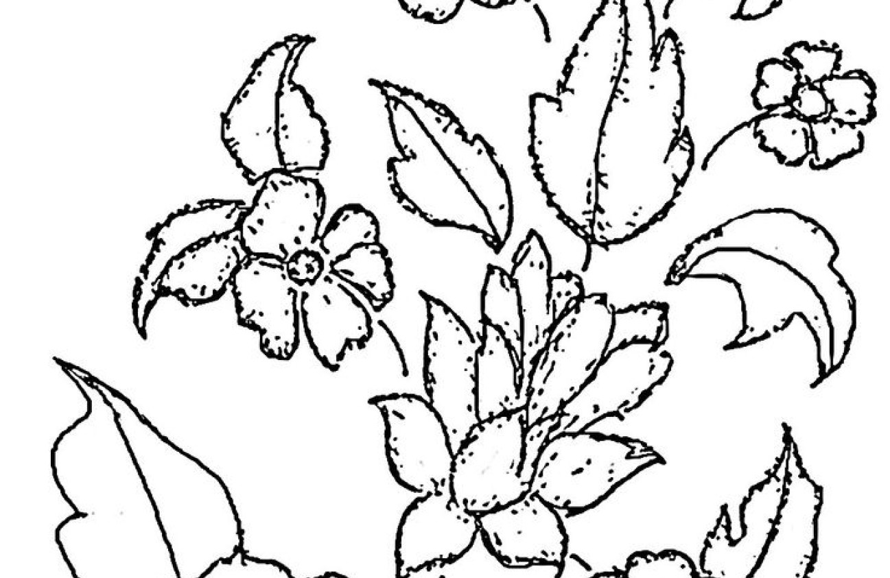 1297x843 Vase Captivating Triangle Black Luxury Glass Inside Beautiful