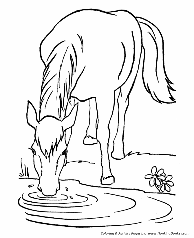 670x820 Horse Coloring Pages Printable Lead A Horse To Water Coloring