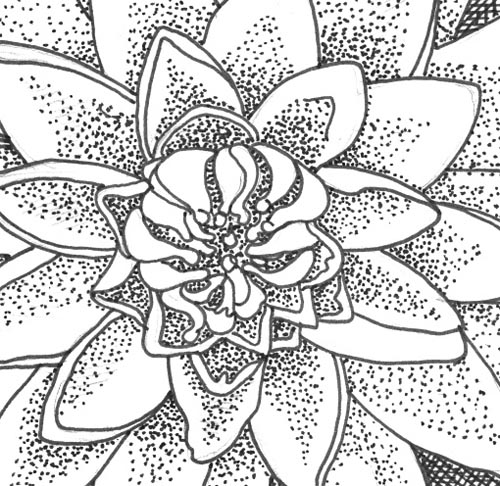 500x486 The Sketchbook Challenge Water, And Water Lily