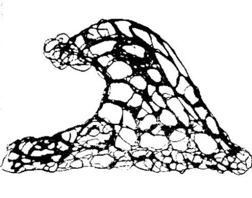 490x385 Drawn Wave Sketch