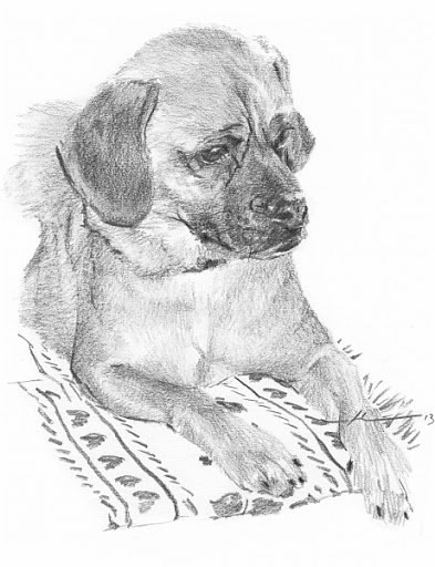 393x512 Pencil Amp Watercolor Portraits By Pencil