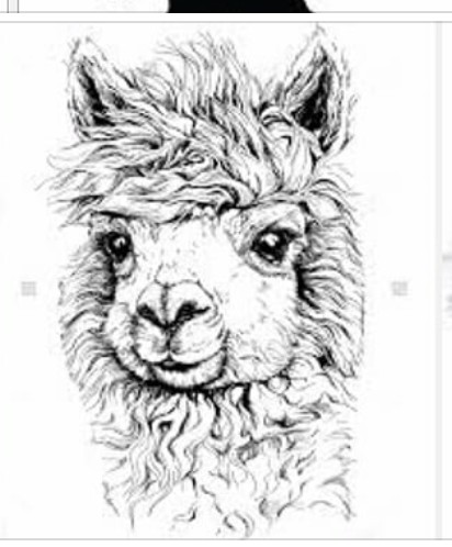 412x498 Pin By Patricia Voldberg On Black And White Animals