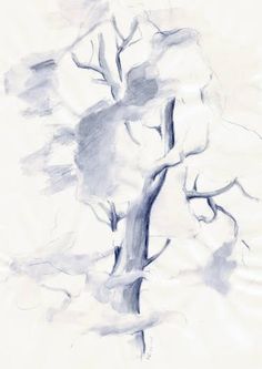 236x333 Capitoline Hill