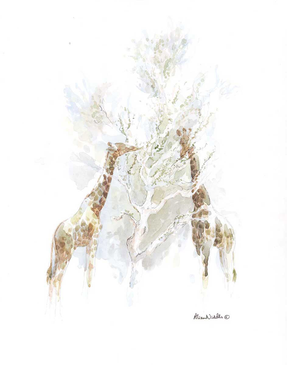 943x1200 Original Watercolors On Paper.