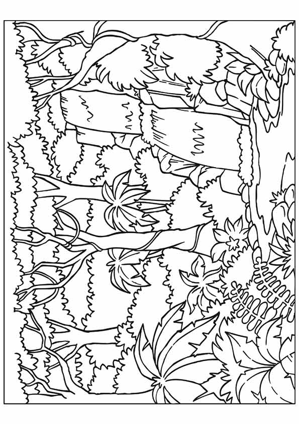 595x842 Nature Coloring Pages Forest Waterfall