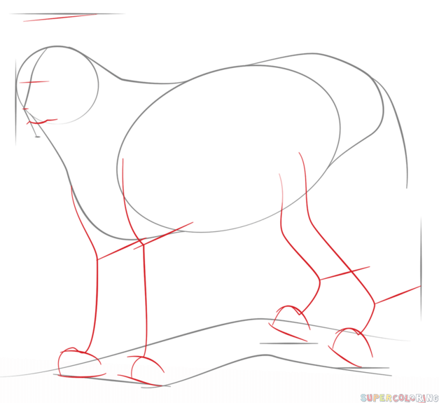 627x575 How To Draw A Lynx Step By Step. Drawing Tutorials For Kids