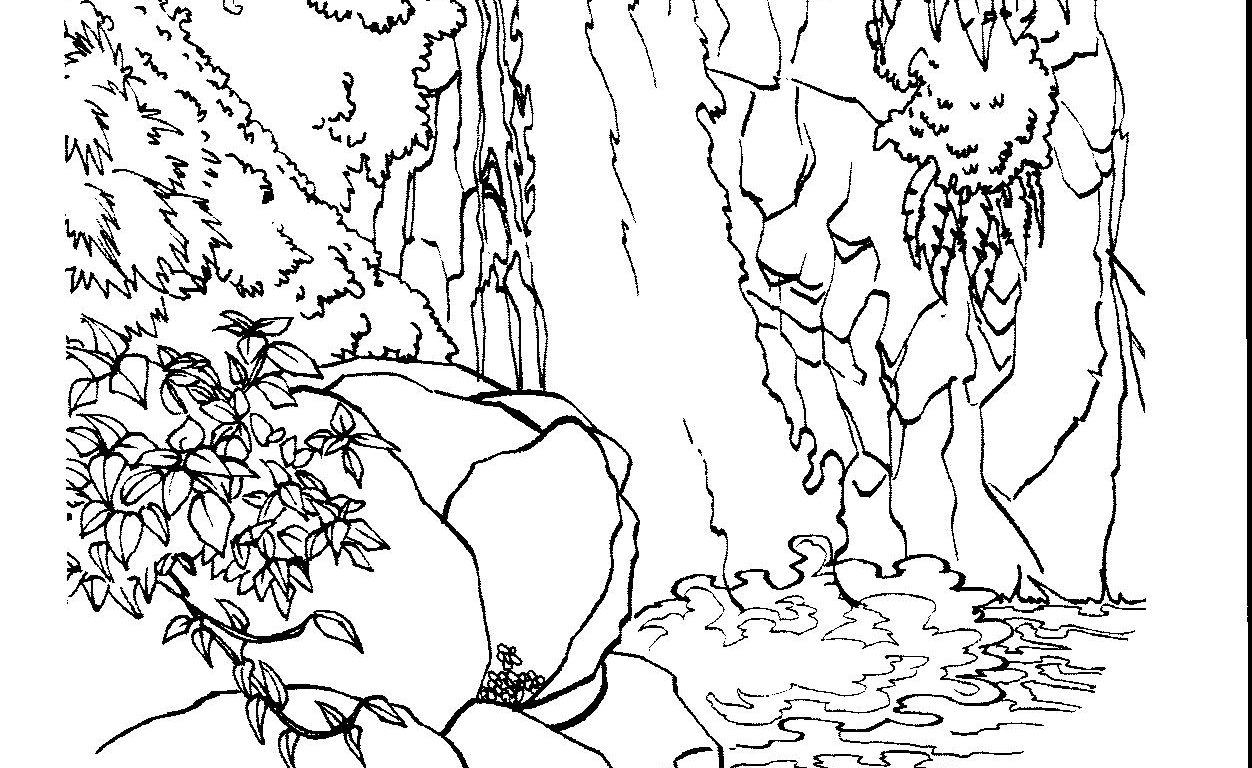1252x768 Jungle Forest Waterfall Coloring Book Cartoon Stock Beautiful