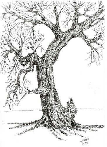 366x500 14 Best Trees Sketch Images On Pencil Drawings, Pencil