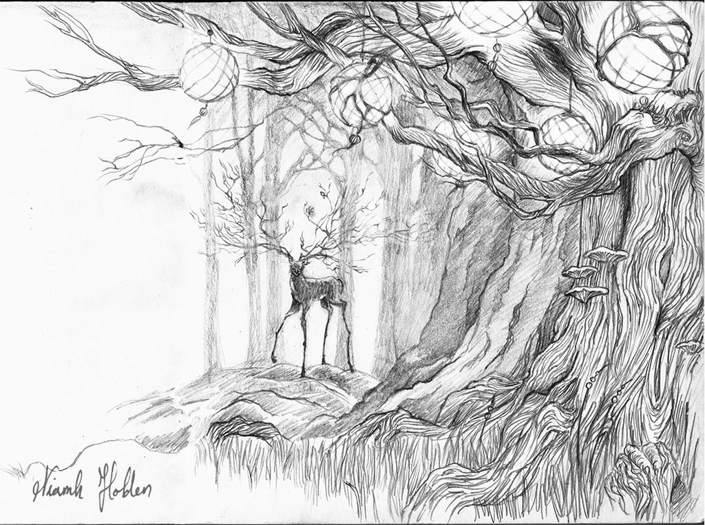 1024x762 Connecttonature Hashtag On Twitter