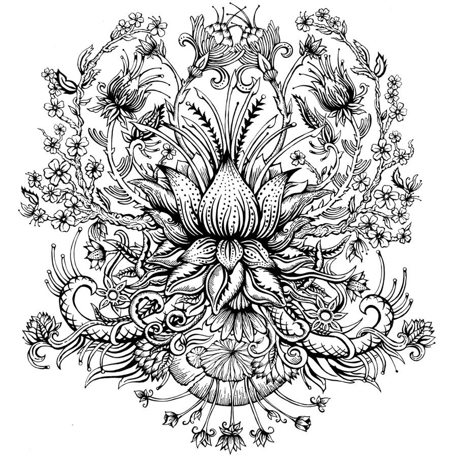 900x903 40 Beautiful Flower Drawings And Realistic Color Pencil Drawings