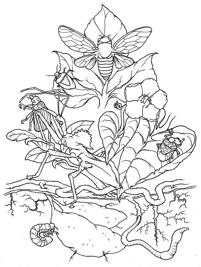 696x924 Heather's Bug Tattoo Lineart By Scumbugg