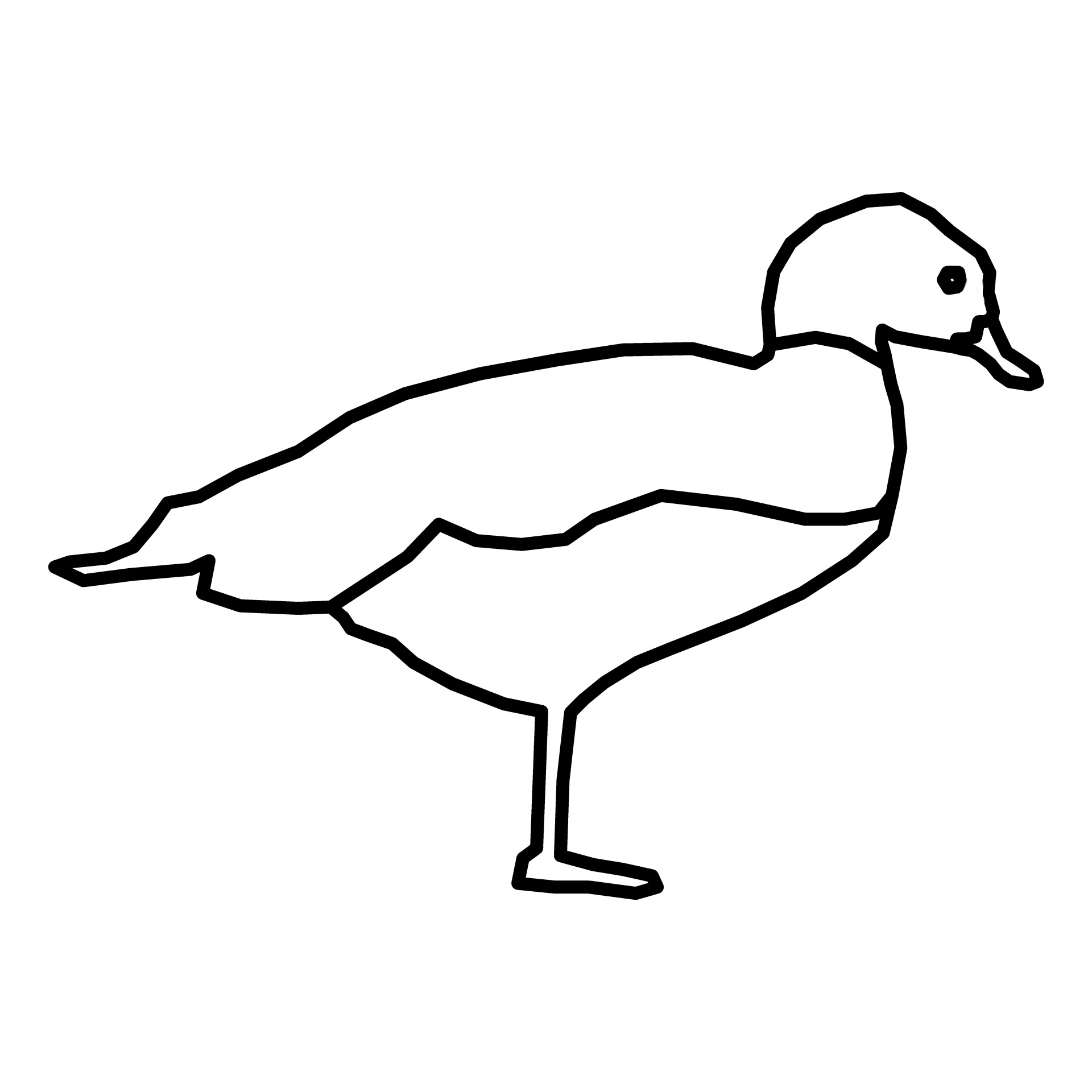 1920x1920 Duck Outline