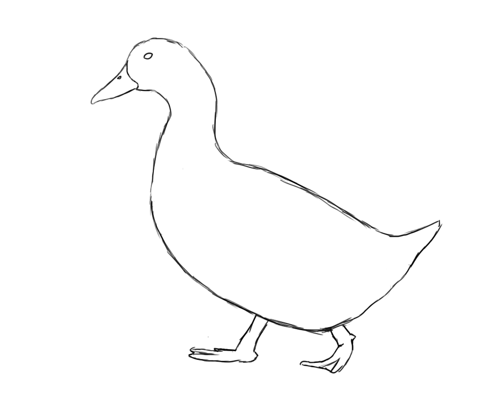 1024x819 How To Draw A Duck Drawings, Drawing Ideas And Art Lessons