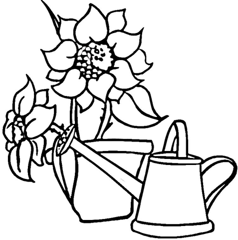 477x480 Watering Can And Sunflowers Coloring Page Free Printable
