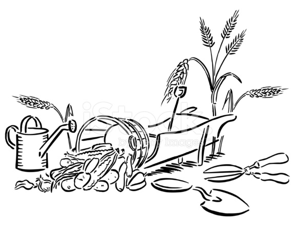 575x440 Garden Tools And Harvest Vegetables With Watering Can Stock Vector