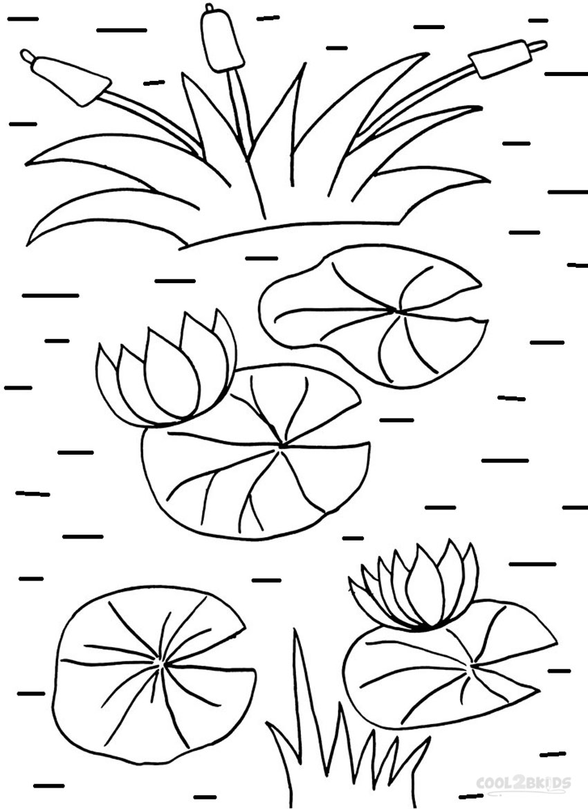 850x1169 Printable Lily Pad Coloring Pages For Kids Cool2bkids