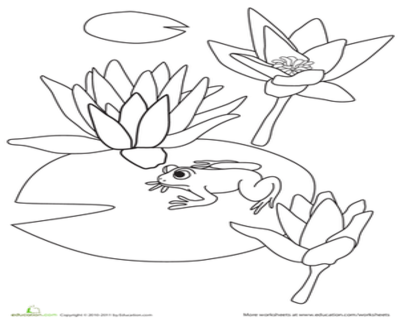 400x322 Water Lily Pad Coloring Page Pages