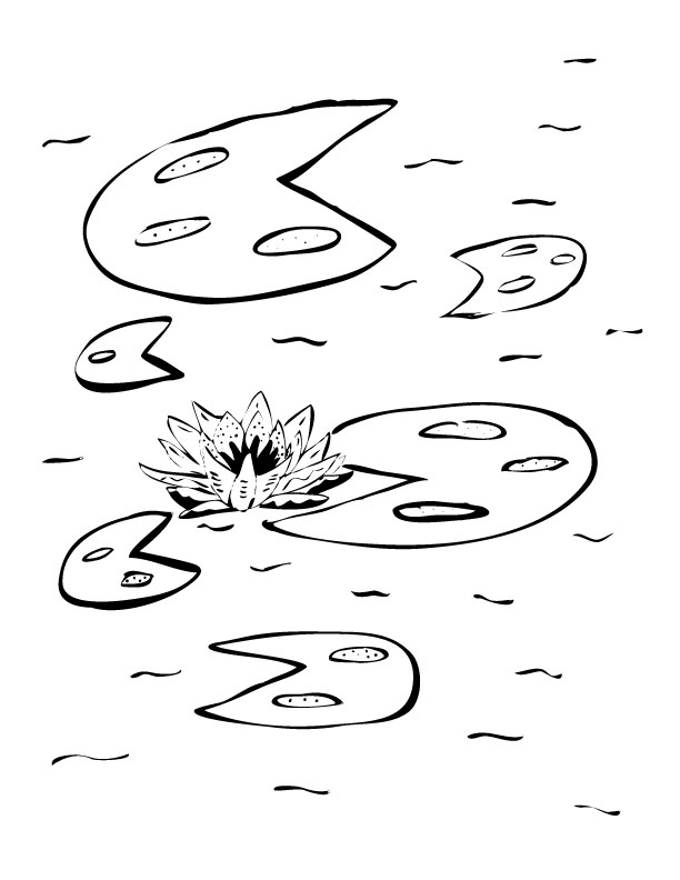 612x792 Water Lily Study Music Project