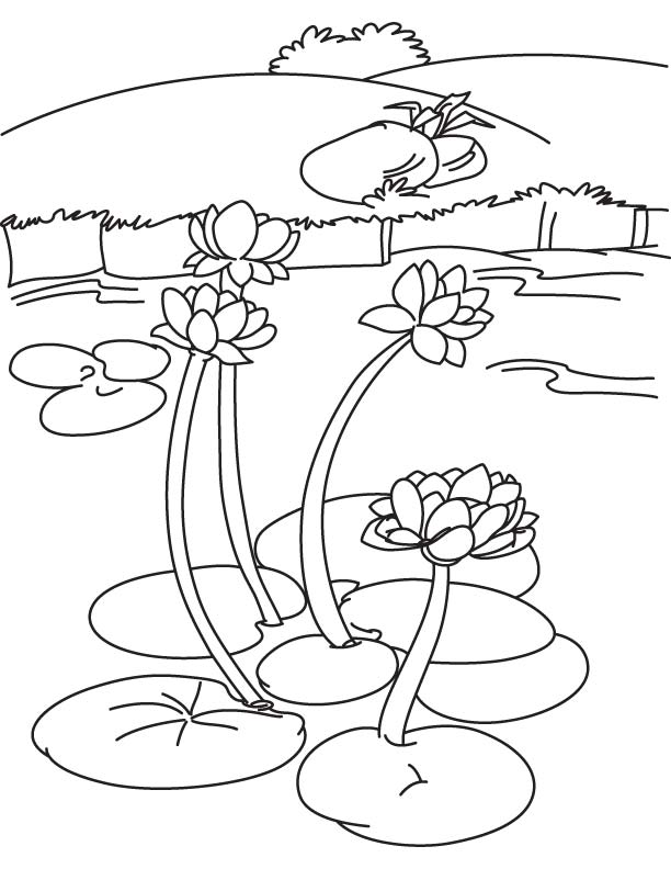 612x792 Water Lily Lake Coloring Page Download Free Water Lily