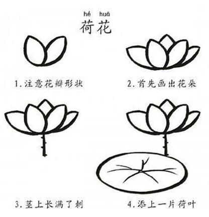 416x432 To Draw A Water Lily Step By Step