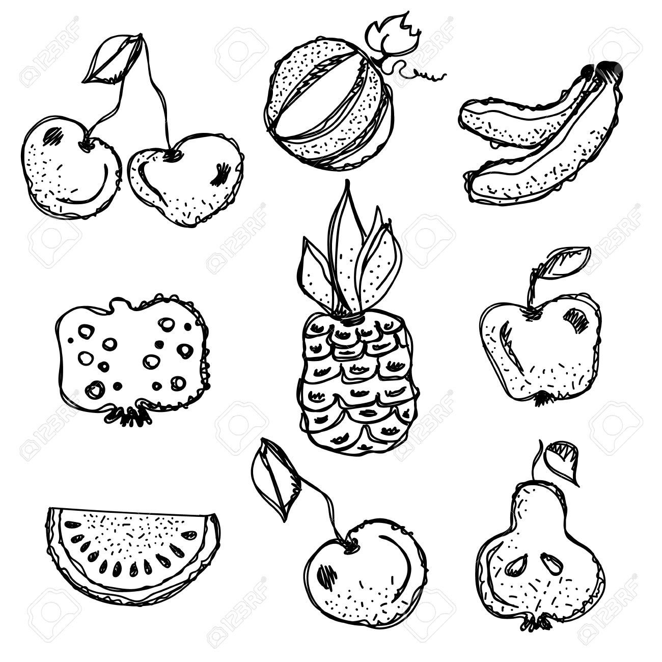 1300x1300 Vector Fruits Set. Hand Drawn Black And White Fruits Illustration