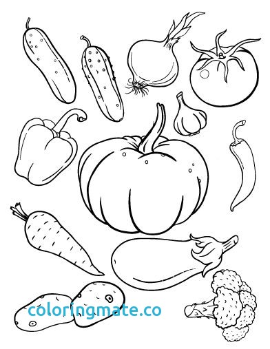392x507 Vegetable Coloring Pages Elegant 1000 Images About Fruit