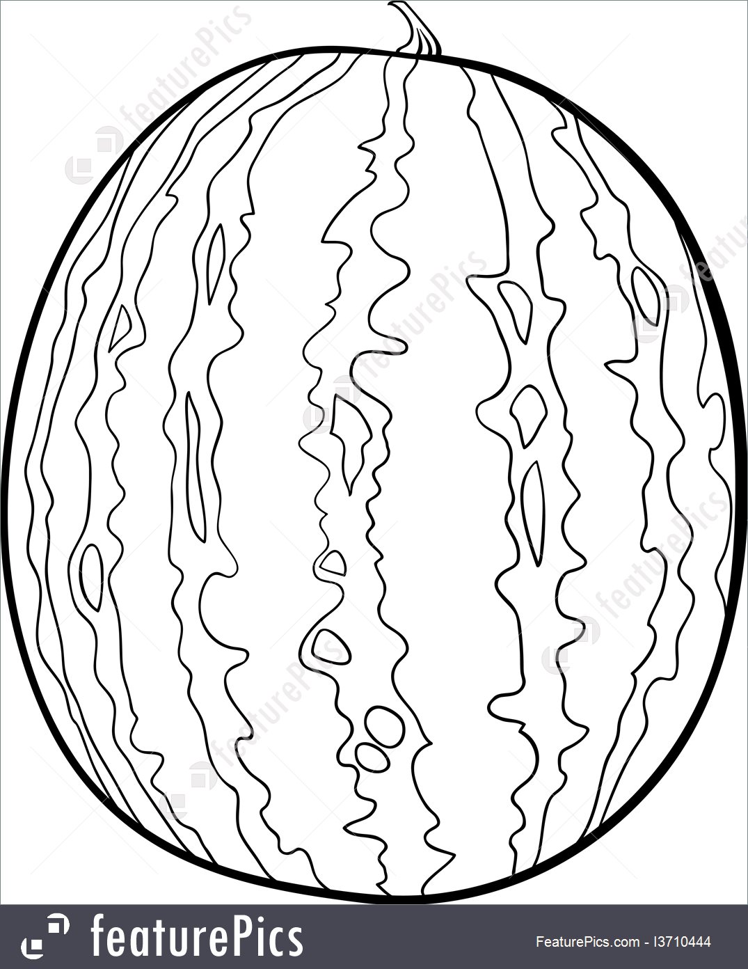 1075x1392 Watermelon For Coloring Book Illustration