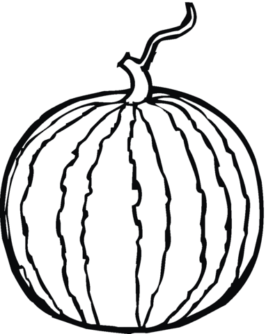 382x480 Whole Watermelon Coloring Page Free Printable Coloring Pages