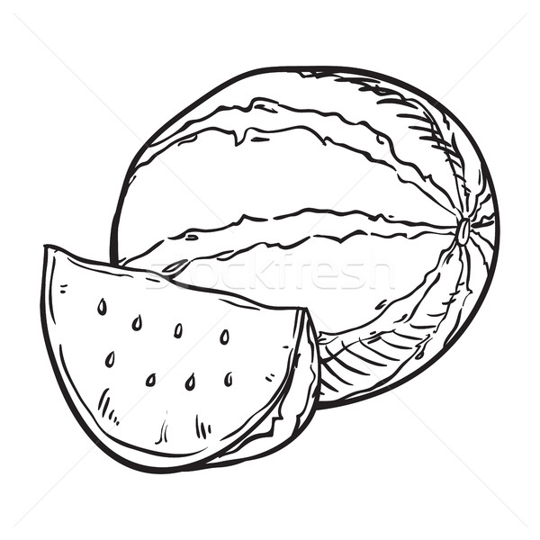 600x600 Hand Drawn Sketch Watermelon Illustration Vector Illustration