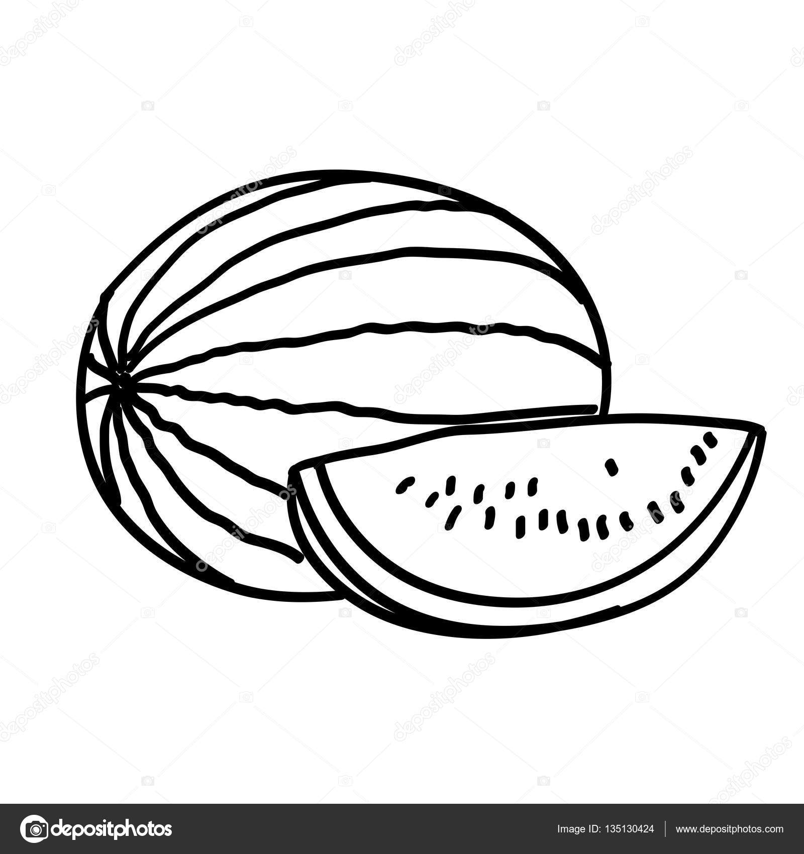 1600x1700 Hand Drawn Watermelon With Slice Stock Vector Bowxwod
