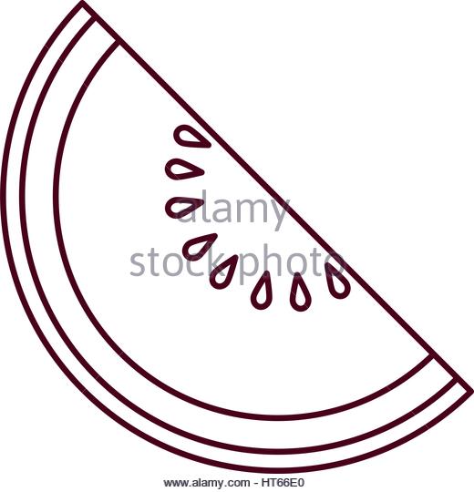 520x540 Black White Illustration Slice Watermelon Stock Photos Amp Black