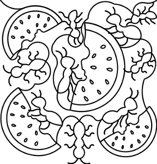 317x330 Ants Watermelon E2e P2p Pantograph