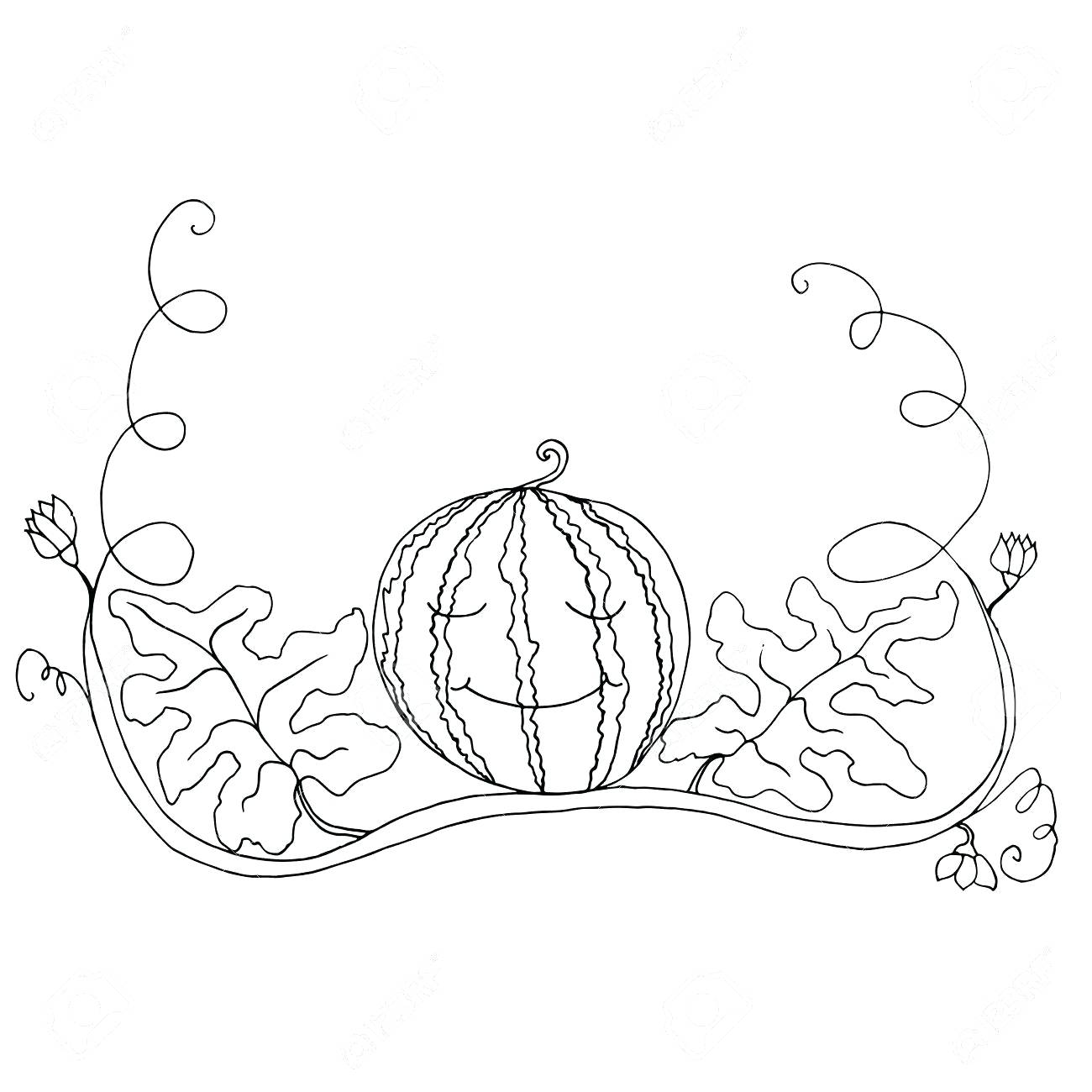 1300x1300 Coloring Watermelon Coloring Page Black White In Foliage