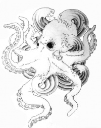 200x254 Octopus Tattoos Photos