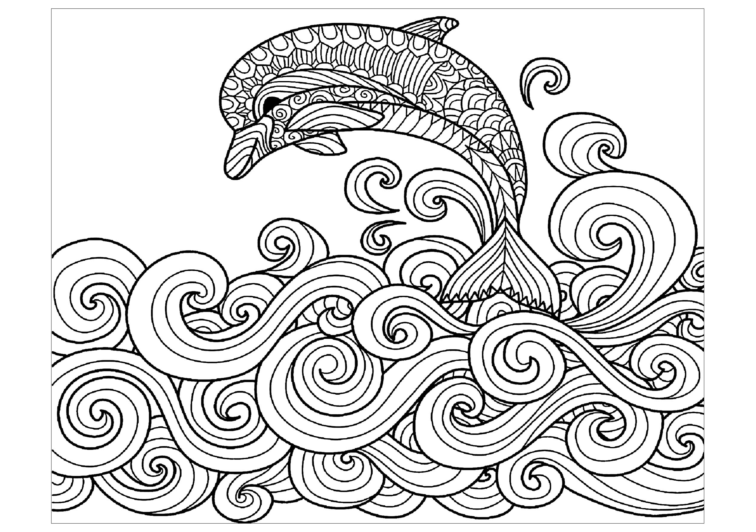 2497x1759 Dolphin Waves Dolphins