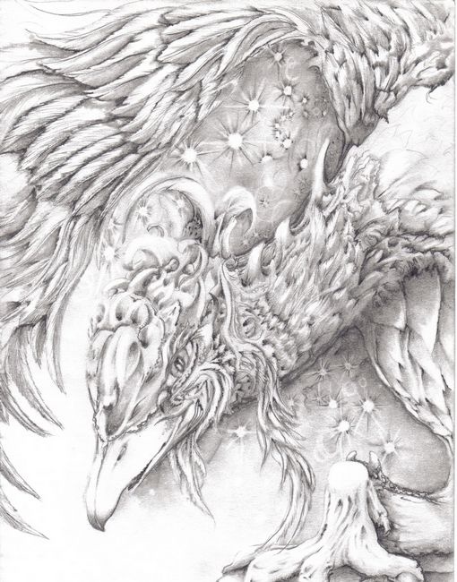 510x650 23 Best Art For My Walls Images On Ink Drawings, Big