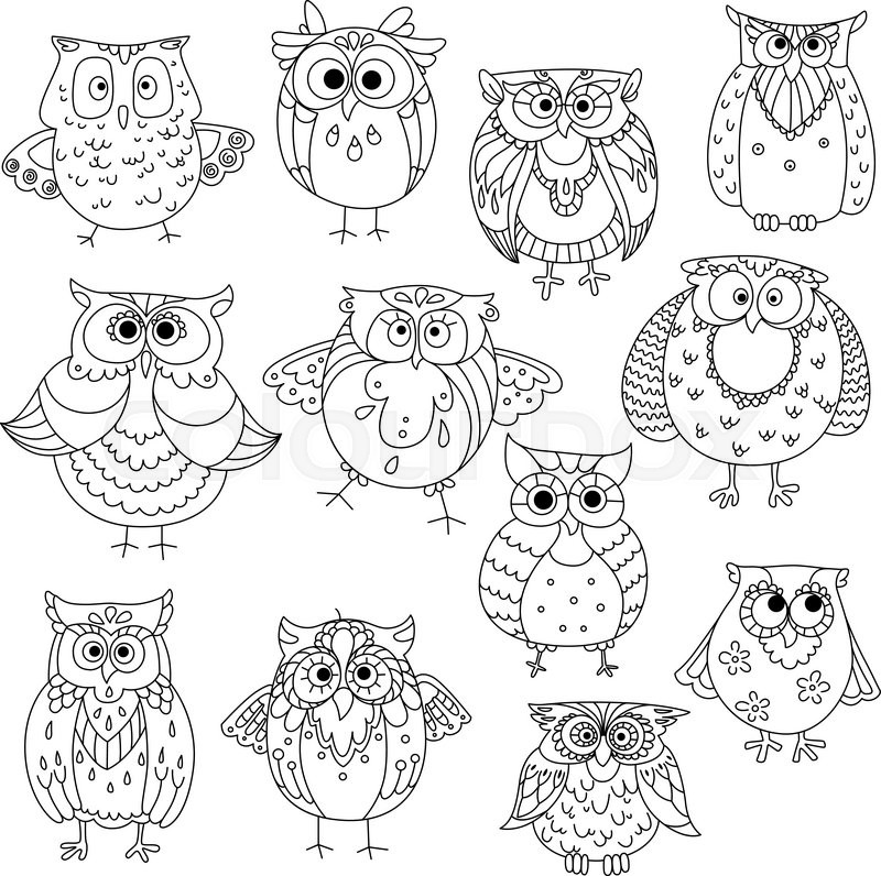 800x796 Decorative Sketches Of Cute Owls With Young Owlets, Wise Horned