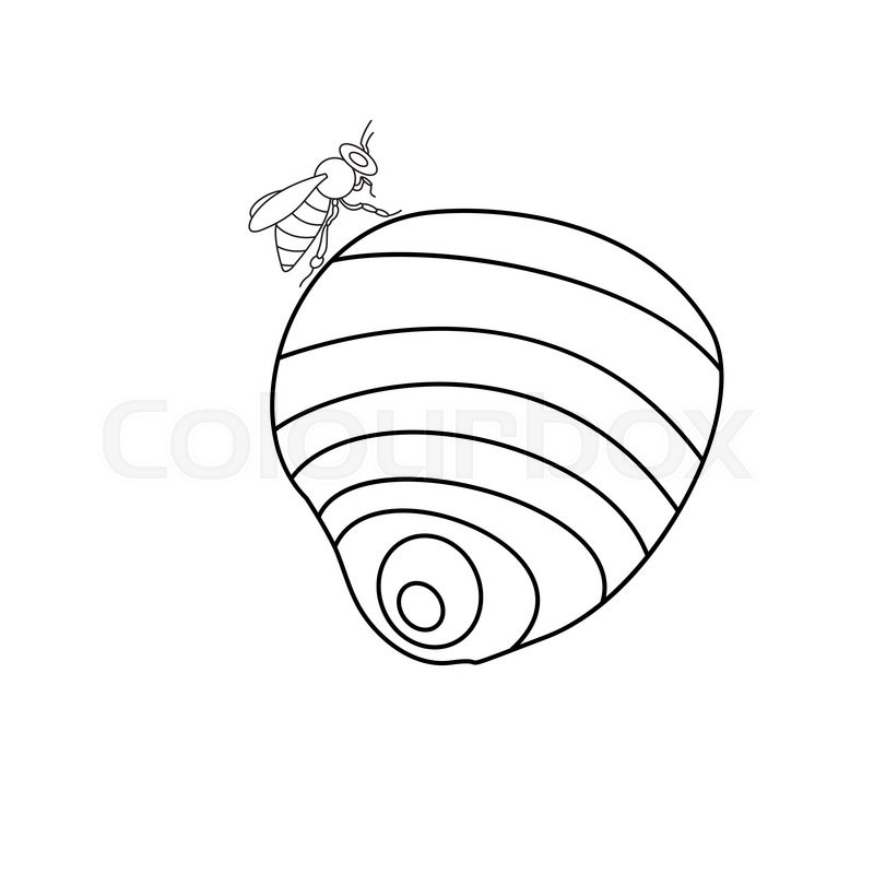 800x800 Apiary Honey Bee House Apiary Vector Illustrations. Apiary Vector