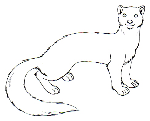 488x392 Weasel Template By Lenval