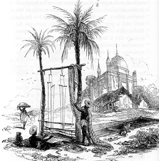 310x314 Mellor Archaeological Trust