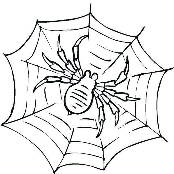 600x600 Preschool Spider Web Coloring Page For Sweet Draw Photo Free Pages