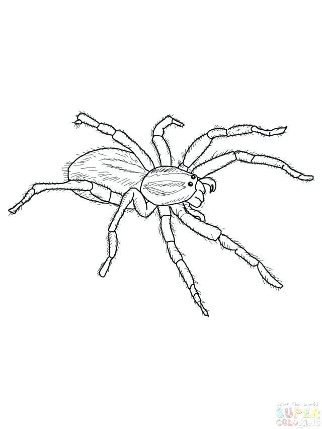 640x853 Background Colors For Web Pages Plus Beautiful How To Change Web