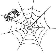 220x220 Spider Coloring Pages