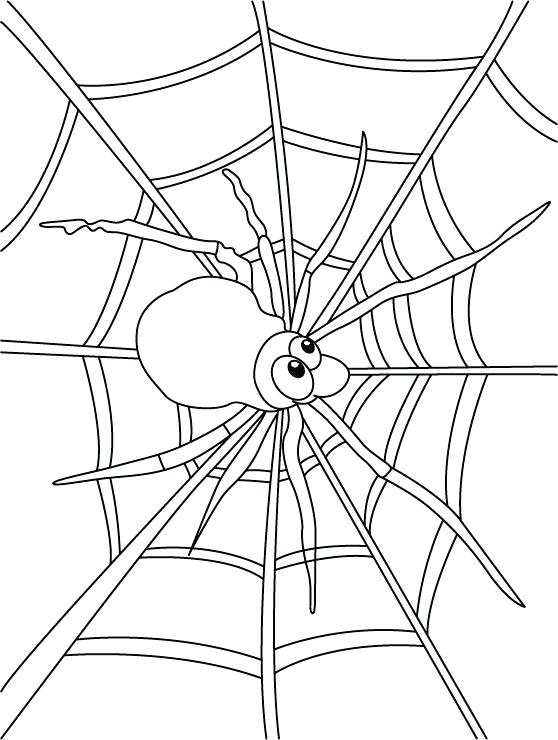 558x740 Spider Coloring Page Free Pages Of Web Col Murs