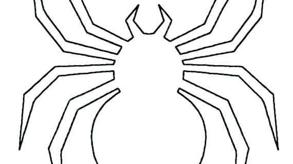 570x320 Spider Web Coloring Page