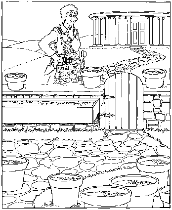 348x425 The Tortoise Shell Children's Coloring Book