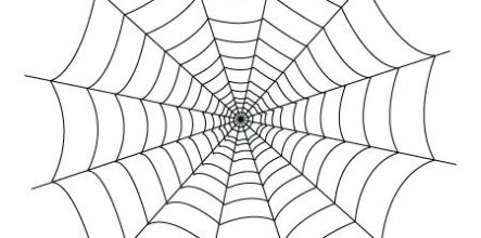 443x220 Web Site Color 23324