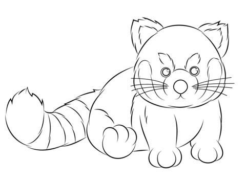 480x358 Webkinz Red Panda Coloring Page Free Printable Coloring Pages